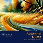 Autumnal Gusts Calm Wind Sounds