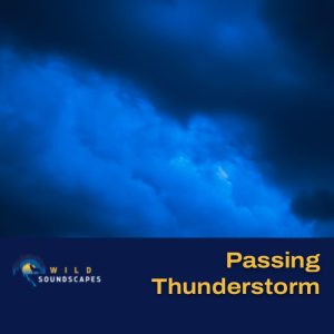 Sound of Passing Thunderstorm