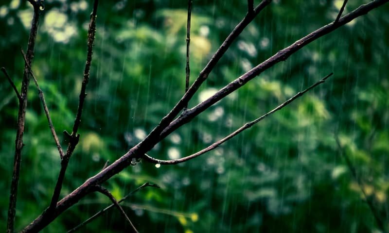 Calming Rain Sound